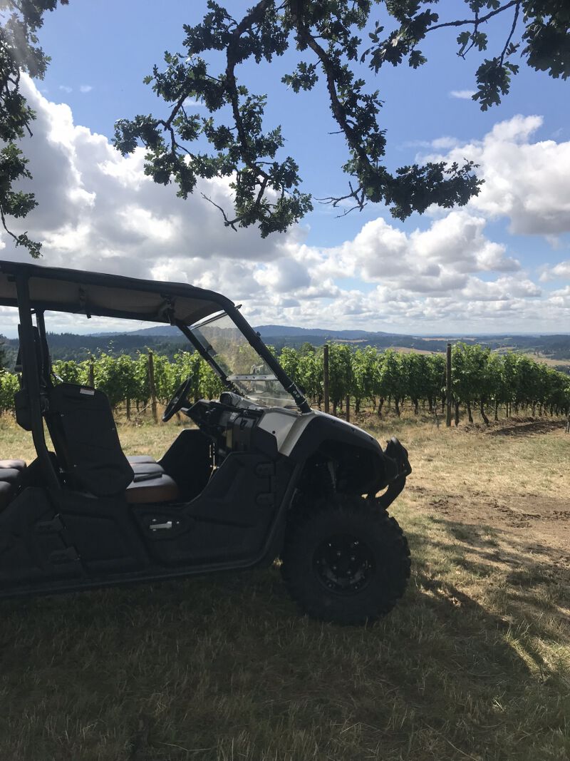Four person ATV with the WillaKenzie vineyard in the background.