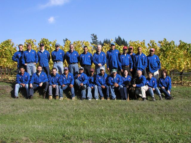 Vineyard team in blue shirts.