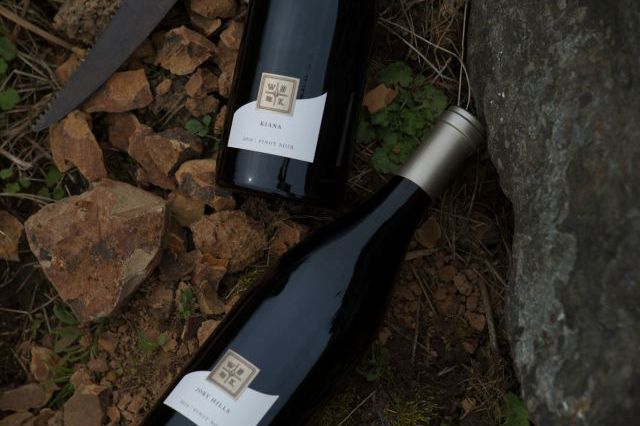 Bottles of WillaKenzie Pinot Noir laying in rocks. 