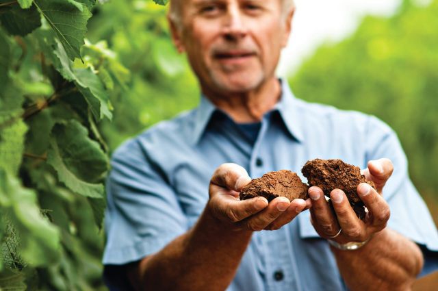 Bernard Lacroute, WillaKenzie Estate Founder, holding soil in his hands.