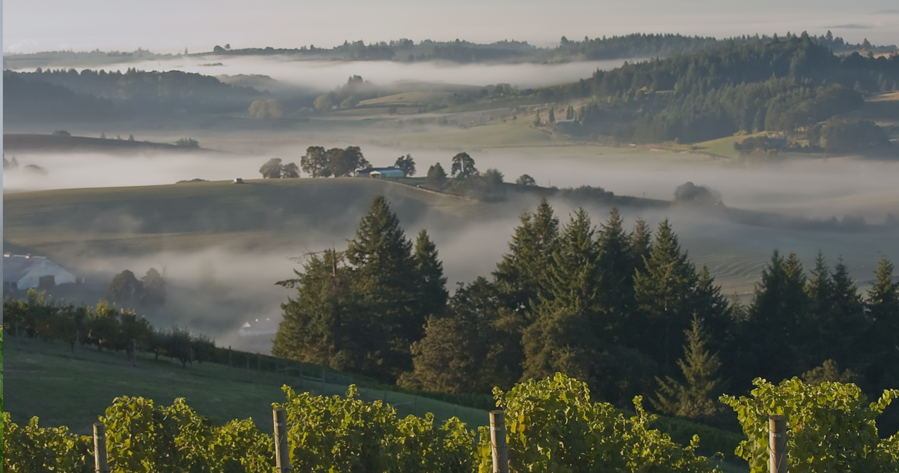 Willamette Valley