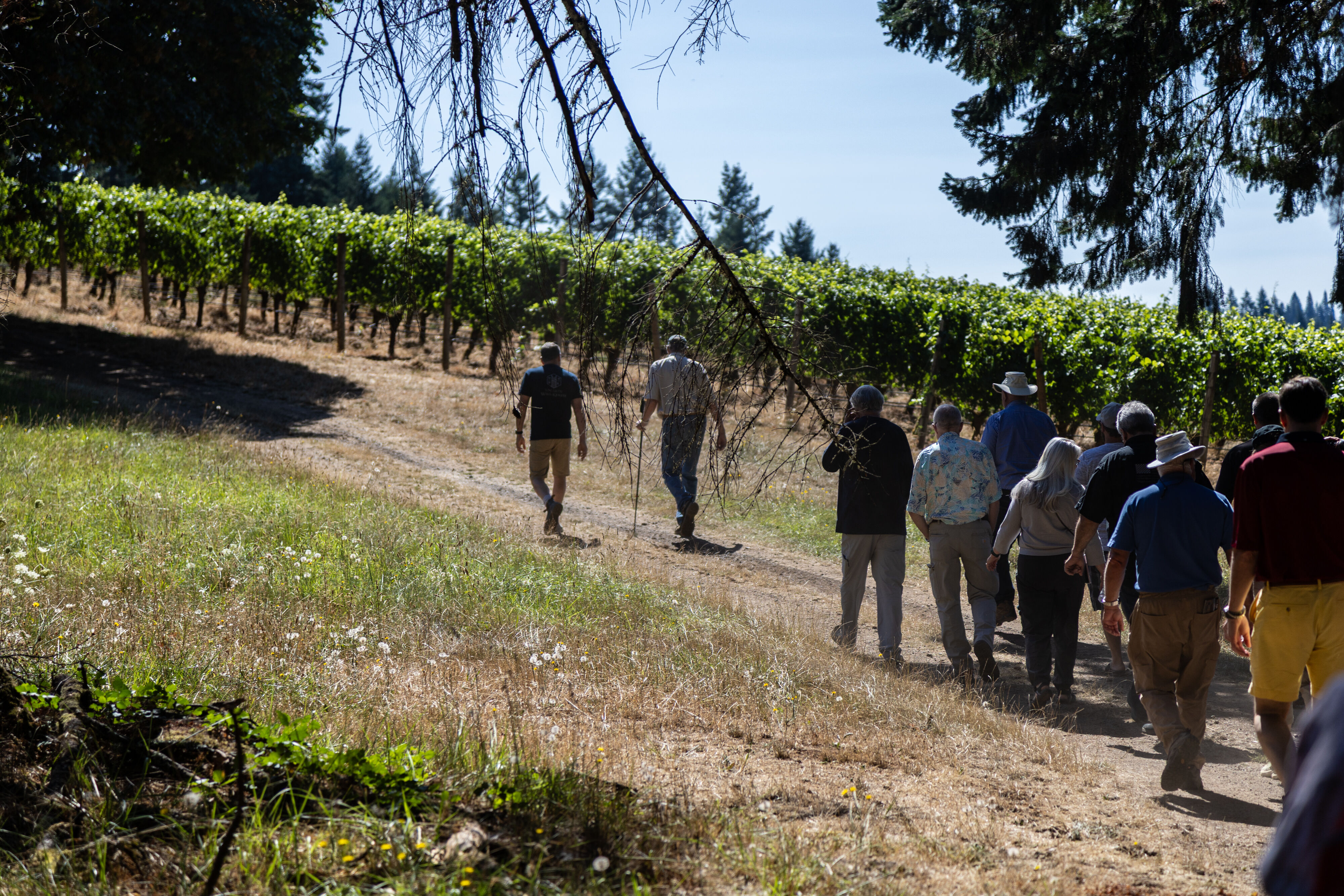 event at willakenzie estate