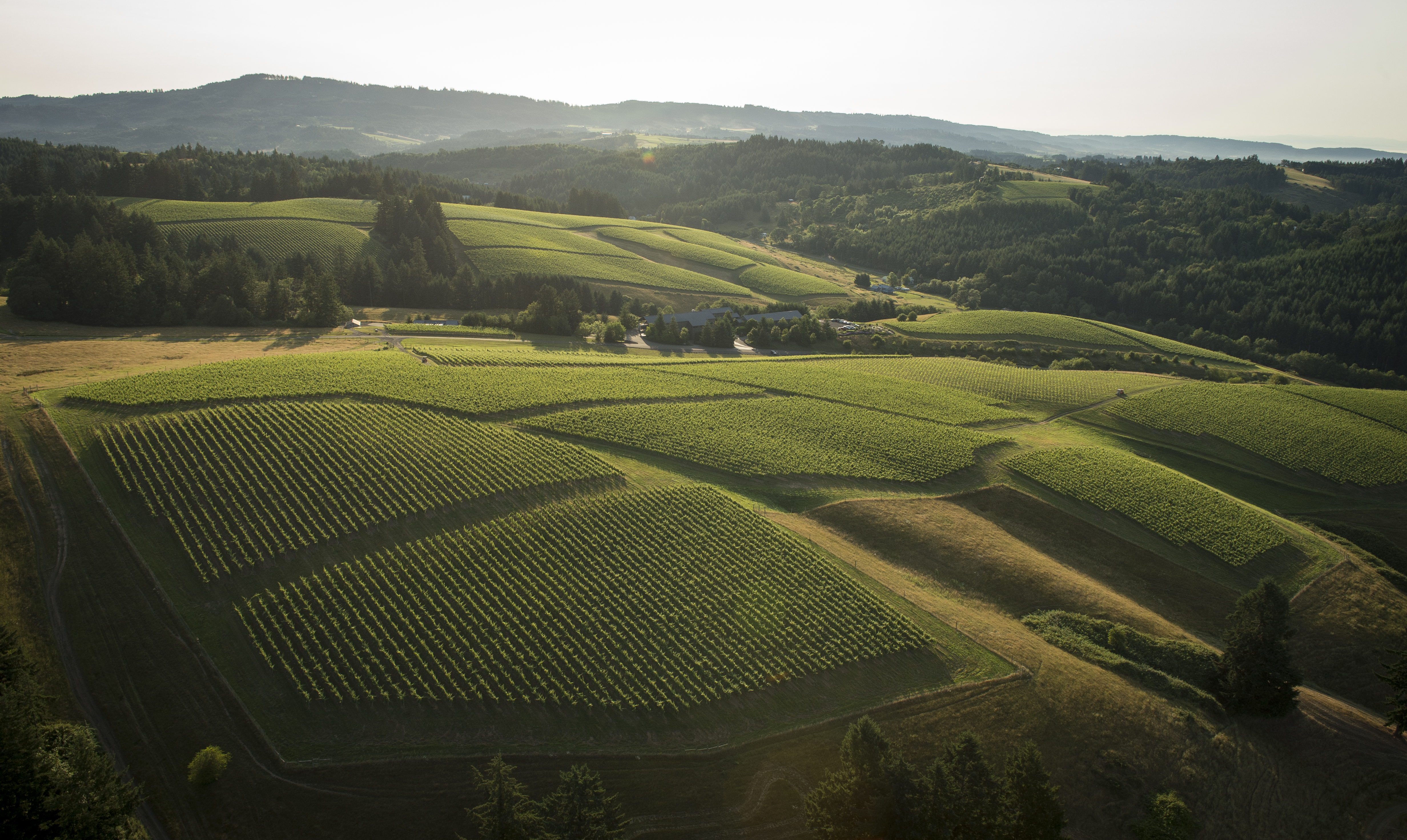 WillaKenzie Estate